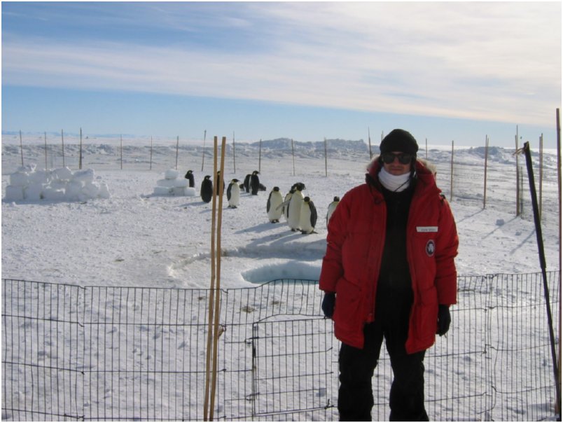 shneeb with penguin ranch